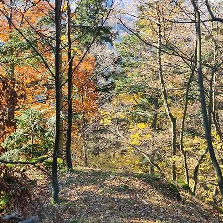 Ferienhaus Pod Zlatym Vrchom *