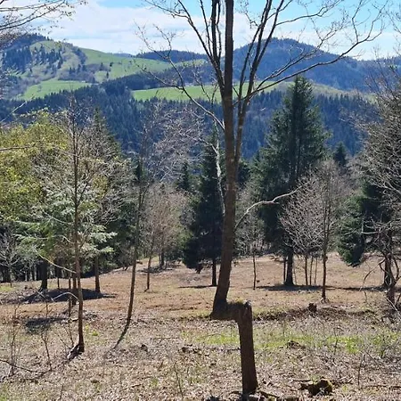 Pod Zlatym Vrchom