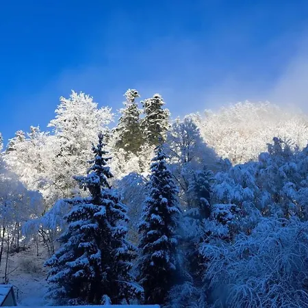 Vakantiehuis Pod Zlatym Vrchom Banská Štiavnica