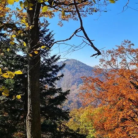 Ferienhaus Pod Zlatym Vrchom