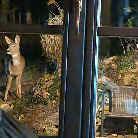 Pod Zlatym Vrchom Banská Štiavnica