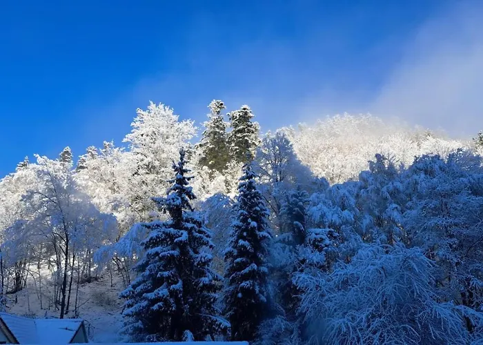 Tatil Evi Pod Zlatym Vrchom Banská Štiavnica